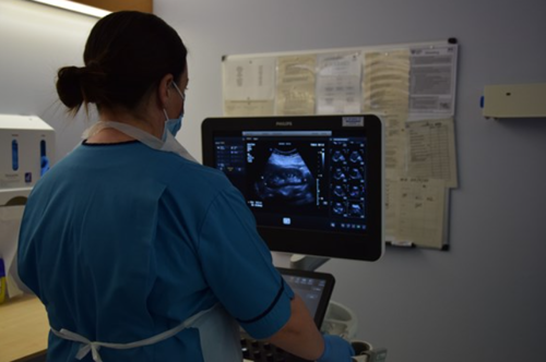 Person looking at Ultrasound screen