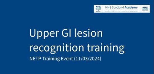 Upper GI Lesion Recognistion Training